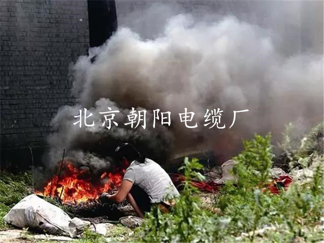 北京朝阳电缆厂